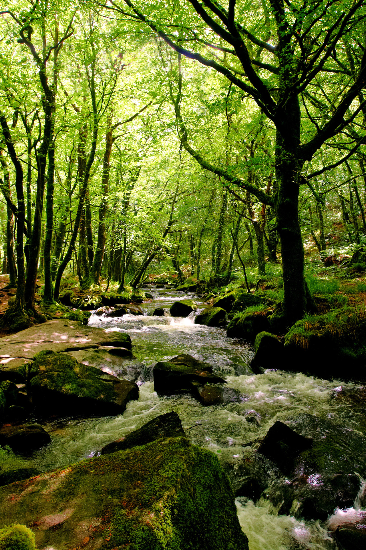 Emerald Falls