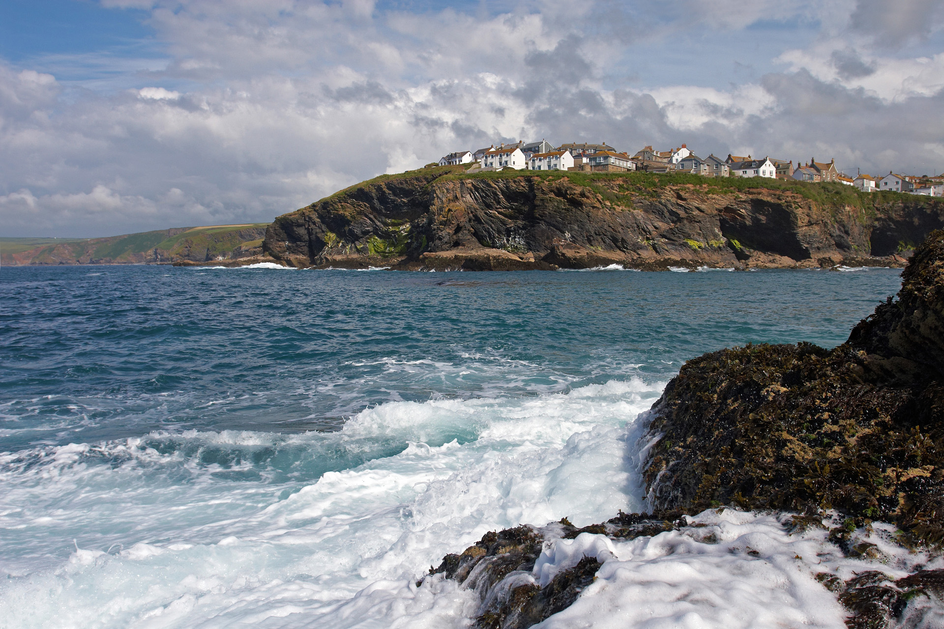 Dog Models Uk Cornwall Wanted Dog Models Uk Cornwall Wanted