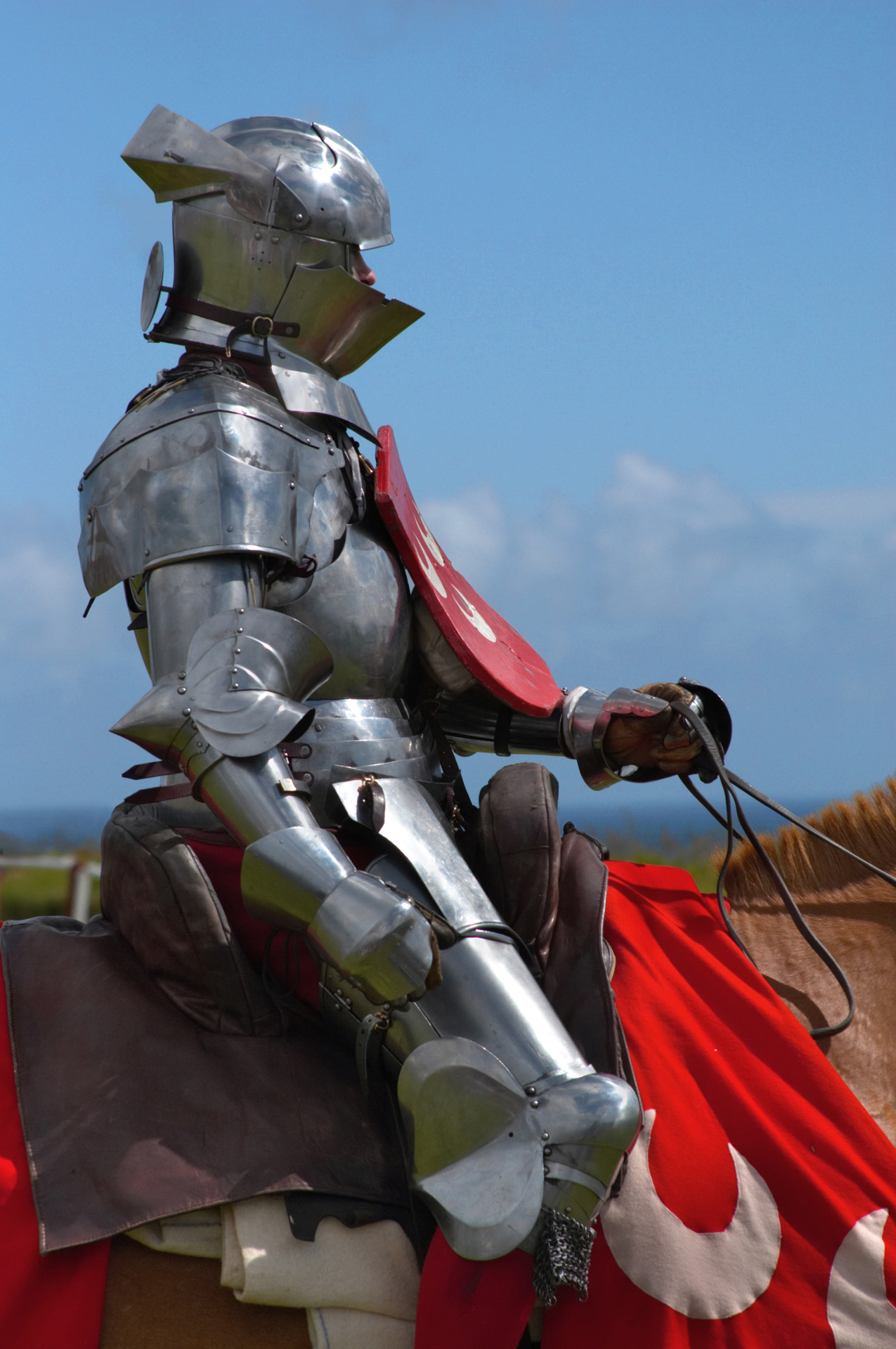 Jousting Knight