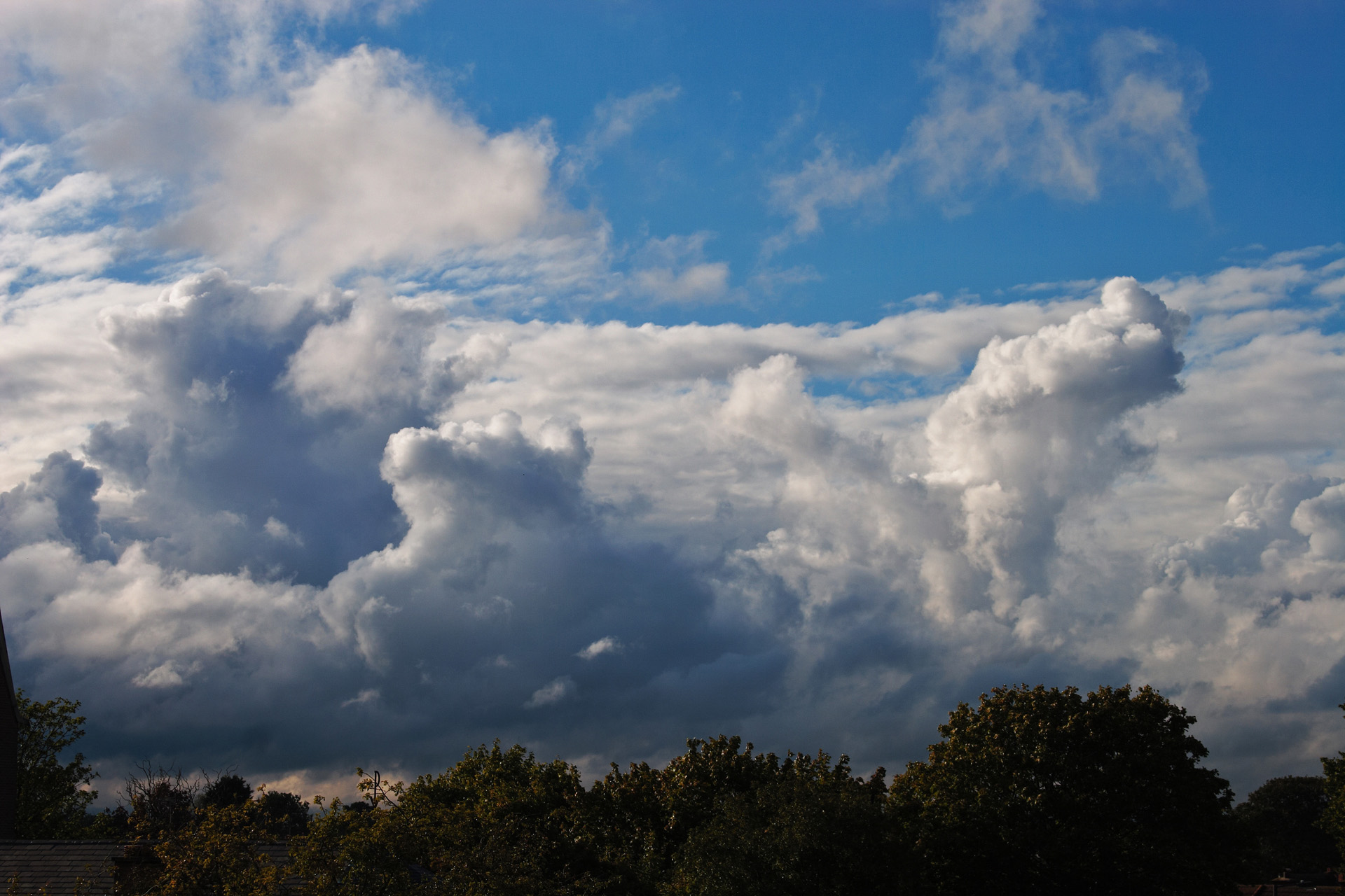 summer cumulo nimbus clouds building over the treeline nimbus cloud