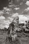 Nine Maidens Standing Stone, Seventh of Nine