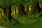 Enchanted Forest Sunrise