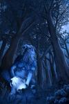 Faun Shaman