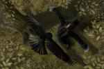 John Uskglass The Raven King