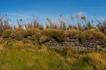 Overgrown Dry Stone Wall On The Cliffs Near Bedruthan Steps