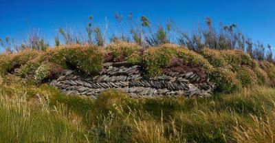 Overgrown Dry Stone Wall On The Cliffs Near Bedruthan Steps