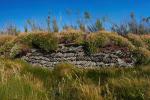 Overgrown Dry Stone Wall On The Cliffs Near Bedruthan Steps