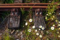Camel Trail