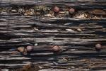 Railway Sleeper Texture