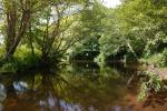 The River Camel along the Camel Trail