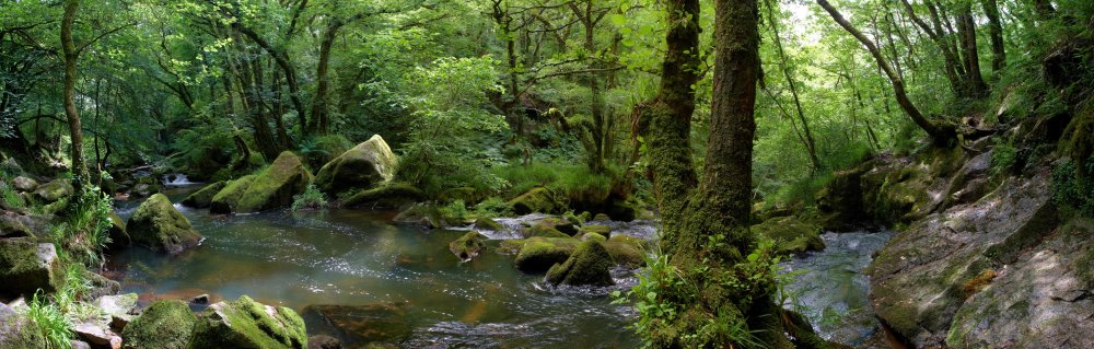 Golitha Falls Panorama