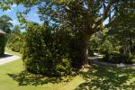 Lanhydrock Higher Garden Panorama