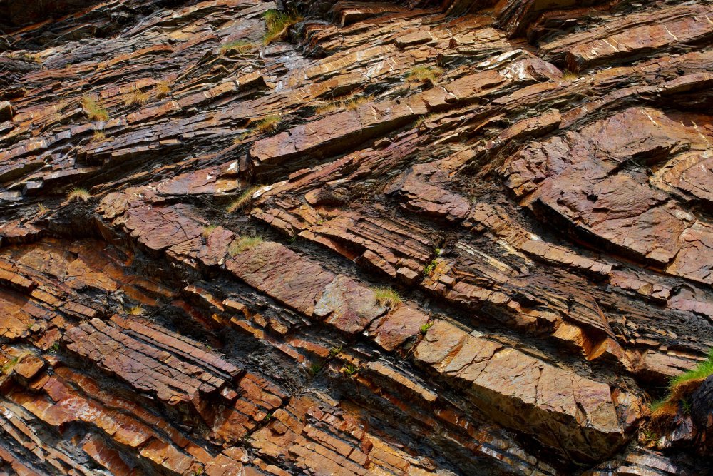 Millook Haven Cliffs With Rock Folds