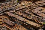 Millook Haven Cliffs With Rock Folds
