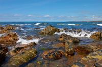 Millook Haven