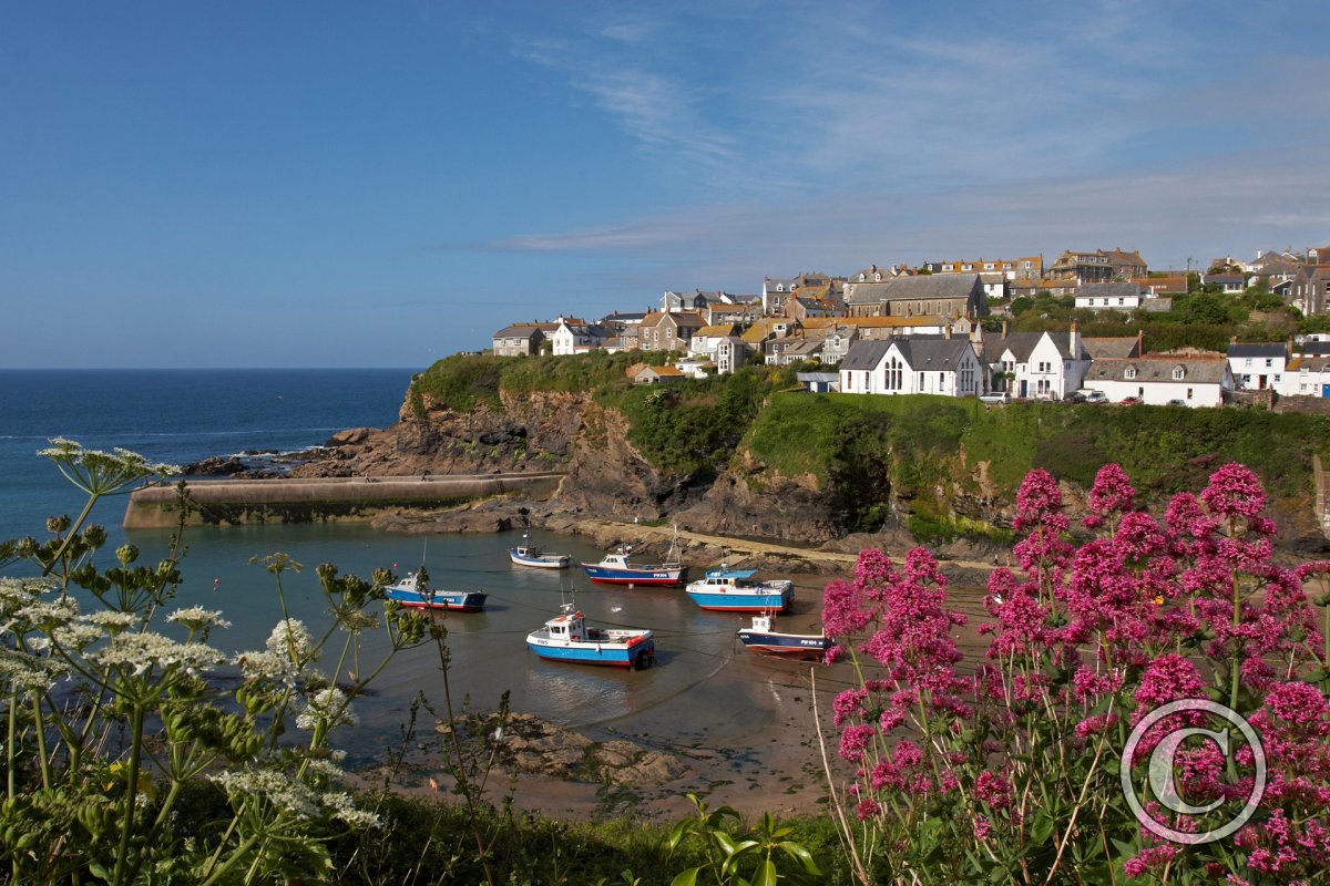 Port Isaac Through Red Valerian Port Isaac Cornwall Photography