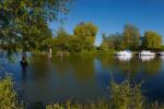 River Thames and Wittenham Clumps Panorama