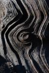 Weathered Wood Whorl Pattern