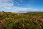 Rosewall Hill In The Evening Sunshine Panorama