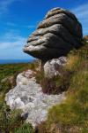 Tor Stripes,  Rosewall Hill, Cornwall